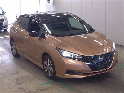 2021 Nissan Leaf
